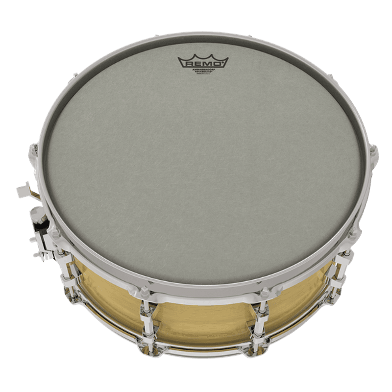 Remo RA-0013-SS Batter, Ambassador®, Renaissance®, 13